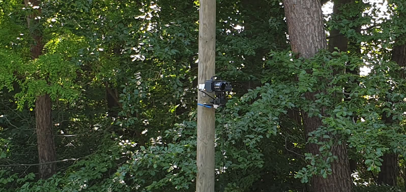 Leivtec-xv-3-Blitzer am Baum versteckt angebracht, ohne Tarnung